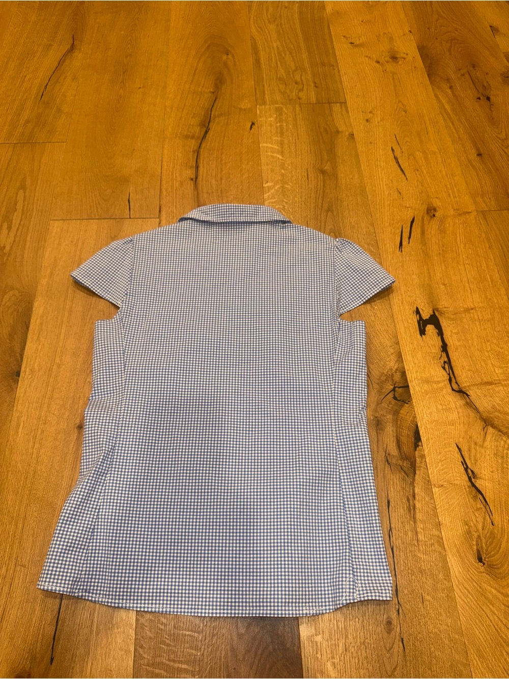 Brandy Melville Blue Gingham Button-Up Shirt - Picture 3 of 3